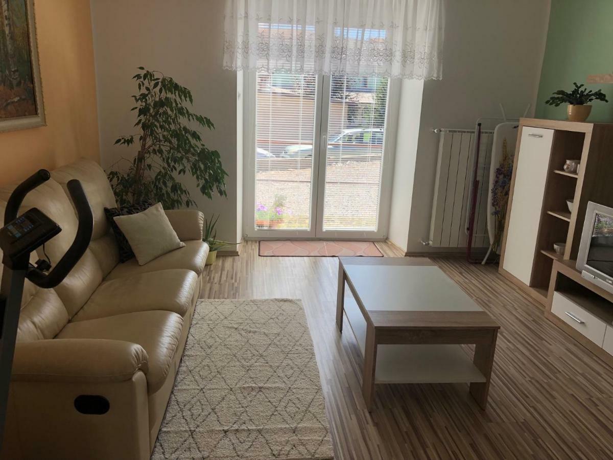 Apartma Mahnic Postojna Bagian luar foto