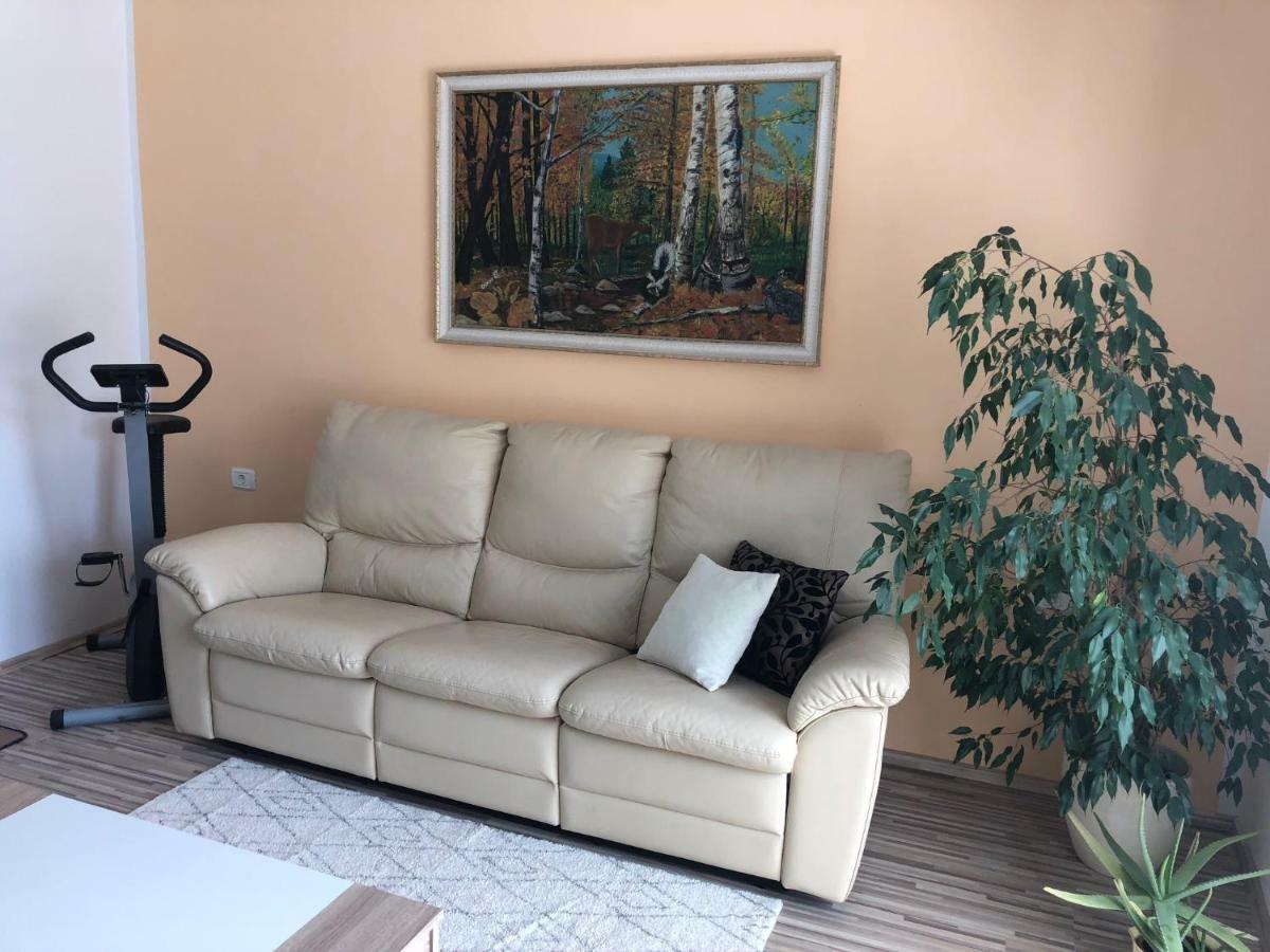 Apartma Mahnic Postojna Bagian luar foto